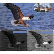 4K 44MP videokamera s nočným viozorom a 18x zoomom, 2 batérie