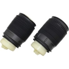 Conjunto de Bisenya Aerial Springs W212 W212 E200 E250 E300, 2123200725