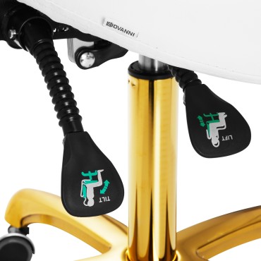 Cosmetic stool Giovanni 1004 white with gold base — close-up of the controls