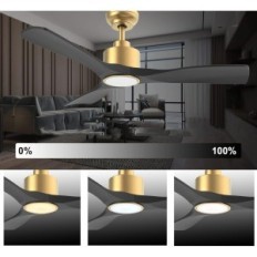 Černý stropní ventilátor Ofantop, 20W, LED E27, WiFi, Bluetooth, 132 cm