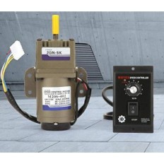 Motore asincrono monofase con Garosa, 220 V, 6W Riduttore