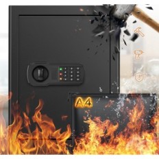 Brandresistent Sikker Mejasg 55 l med aftagelig hylde, 31 x 38 x 50 cm