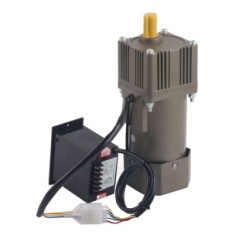 FTVOGUE 5GU-50KB AC 220 V 90 W motor with variable speed