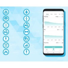 Peso digitale silvergear, con tessuto grasso e massa muscolare