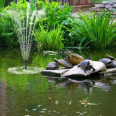 Pump to water pond Biling with filter, 1500 l / h, 30 W, up to 2000 L