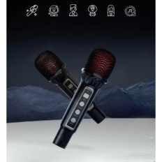 Prenosni karaoke Bluetooth USB karaoke sistem z brezžičnim mikrofonom in zvočnimi učinki, za domačo zabavo