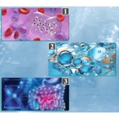 Generator wodoru YJINGRUI V8, 2 l, Używany