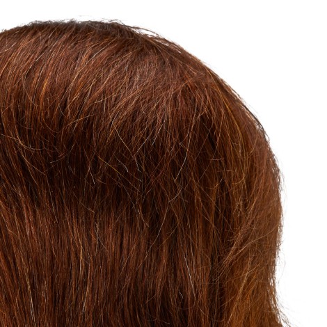 Tête d’entraînement coiffure Gabbiano WZ3 cheveux naturels marron coloris 4, longueur 20 cm — gros plan tête