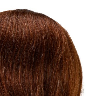 Testa da allenamento Gabbiano WZ4 con barba, capelli naturali colore 4, lunghezza 20 cm (8"+6") — primo piano della testa