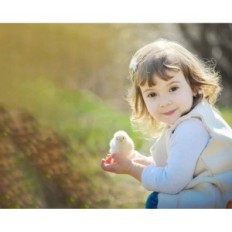 Incubatore automatico Okkobi per 12 uova per galline, anatre e altro, usate