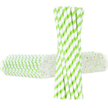 Bio Ecogogical Straw...