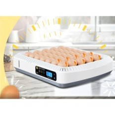 Automatiska inkubatortyper, 50 ägg, utställning