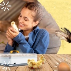 Automatinis inkubatorių kikermai, 50 kiaušinių, parodos