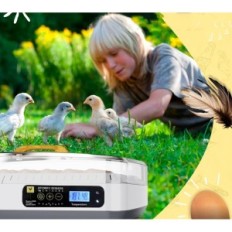 Automatiska inkubatortyper, 50 ägg, utställning