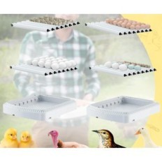 Automatic incubator Chikers, 50 eggs, exhibition