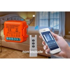 WiFi Yueyang Roll Switch koos RF RF 433 MHz 4 tk