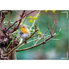 Metal adapter til autofokus Meike Mk-Etz, understøtter Sony E Fastgørelse