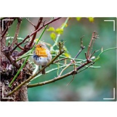 Kovový adaptér pre Autofocus Meike MK-ETZ, podporuje upevnenie Sony E