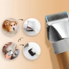 Tosaerba elettrica cGOLdenwall 400W, batteria, 5 ore di lavoro