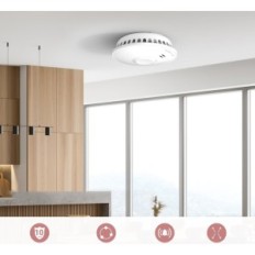 Rilevatore di fumo Putogesafe wireless, batteria a 10 anni, 6 pezzi.