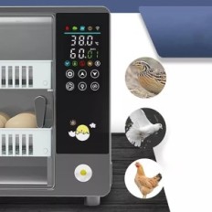 Automatisk Newfun Incubator, 36,6 x 30,2 x 24,1 cm, 24 ägg, utställning