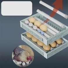 Automatisk Newfun Incubator, 36,6 x 30,2 x 24,1 cm, 24 ägg, utställning