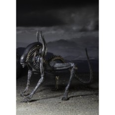 Figurka Xenomorpha z filmu "Alien" 18 cm, sběratelské akce