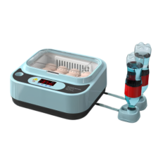 Incubatore automatico per 12 uova con alimentazione da 12 V e 220V con controllo digitale della temperatura e uova rotanti, most
