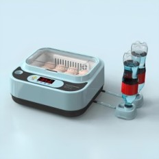 Automatic incubator for 12 eggs with 12V and 220V power supply with digital temperature control and rotating eggs, exhibition
