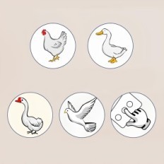 Automatisk inkubator for 12 egg med 12V og 220V strømforsyning med digital temperaturkontroll og roterende egg, utstilling