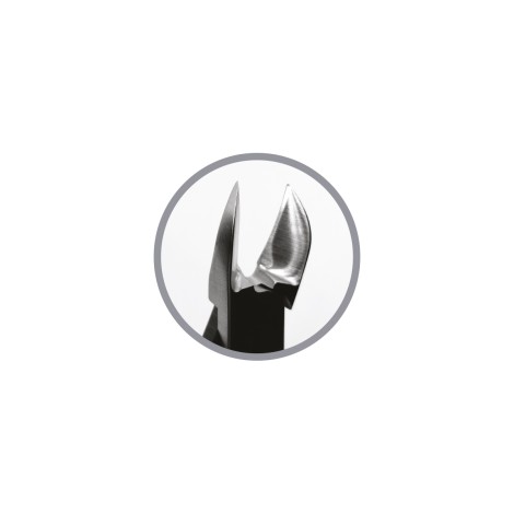 Podoland pincers 04 — close-up of the blade