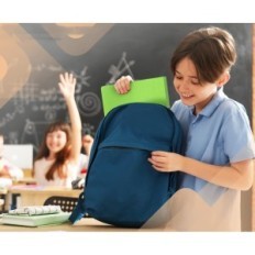 Acropaq 12 Rings A4 A4 Ring Organizer for Office and School Documents