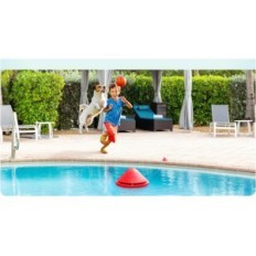 BCONE Pool riasztórendszer csatlakoztatva Alexa biztonsági