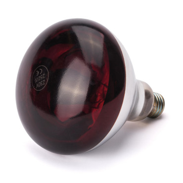 Infraroodlamp voor...