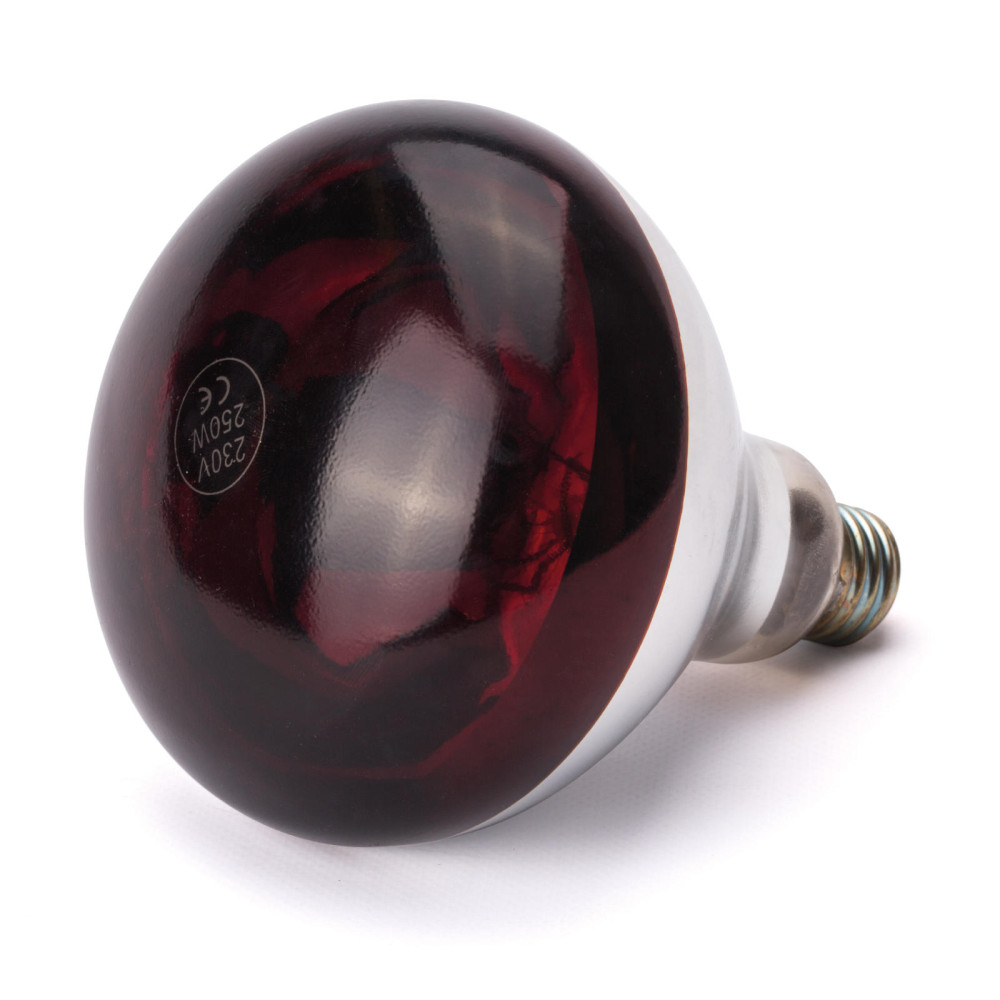 Bulbo infravermelho para lâmpadas de aquecimento E27 250W Vermelho