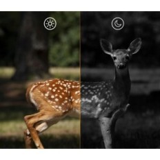 Fotopułapka, kamera leśna iZEEKER iG400 4K30fps Używana