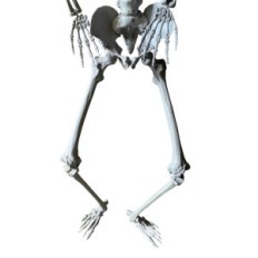 Big Skeleton 180 cm Anatomisches Modell eines menschlichen, genauen Details