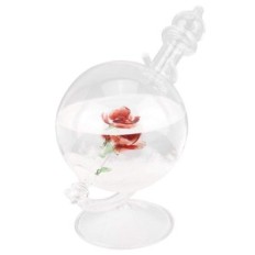 Glass Storm Globe Vannform Værvarsel Krystallflaske