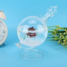 Üveg vihar gömb Víz alakja Időjárás előrejelzés Crystal palack