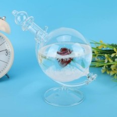 Sklo Storm Globe Water Fead Počasie Crystal Bottle