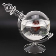 Glas Storm Globe Water Form Vejrudsigt Crystal Bottle