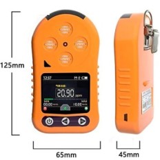 Ozon-Detektor-Top Ozono 0-1PPM-Präzise Ozon-Konzentrationsmesser für die Überwachung der Luftqualität