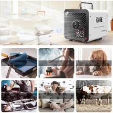 Ozongenerator ICARE 30 000 mg / h 45 dB 110 i vitluftszonator för desinfektionsrummen