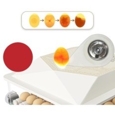 Automatisk triokottage inkubator 56 egg med rotasjon, brukt