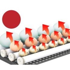 Automatisk triokottage inkubator 56 egg med rotasjon, brukt