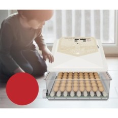 Automatický triokhatný inkubátor 56 vajíčok s rotáciou, použité