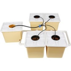 Ensemble de système hydroponique DWC WMLBK avec des plantes pour les plantes, utilisées