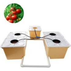 Sæt med DWC WMLBK hydroponic system med planter til planter, der anvendes
