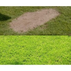 Hybrid Grass Nordic Lawn Lawn 1 x 5 M Elastic Durable, Used
