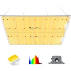 FITOLAMPPA LED Bloom συν XP3000, με δίοδοι Samsung LM301B, 300 W